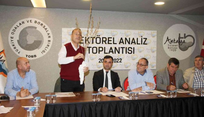 Coğrafi İşaretli ’Altın Susam’ Patent İçin Destek Bekliyor