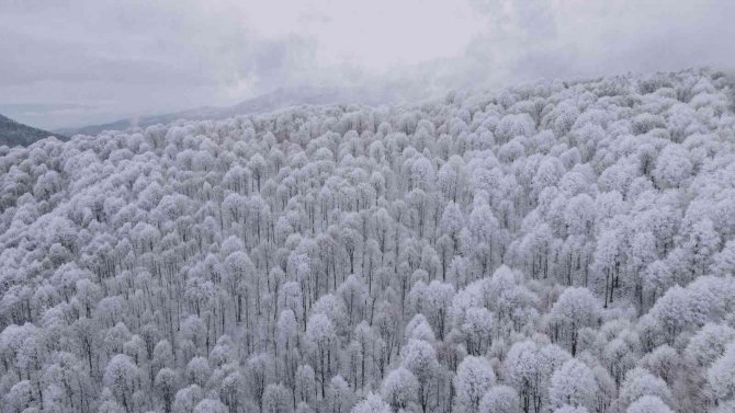 Bursa’da Kar Kartpostallık Görüntüler Oluşturdu
