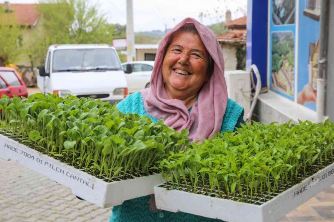 Buca’da Belediye-kooperatif İş Birliği Tarımı Canlandırdı