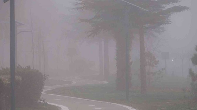 Elazığ’da Sis Etkili Oldu