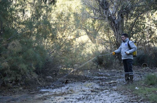 Kuşadası Belediyesi Parazitlere Karşı Savaş Açtı