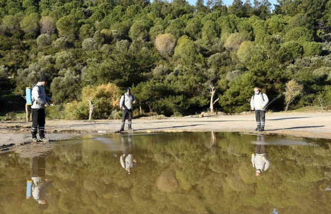 Kuşadası Belediyesi Parazitlere Karşı Savaş Açtı