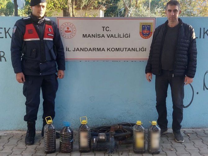 Zeytin Hırsızları Jandarmadan Kaçamadı