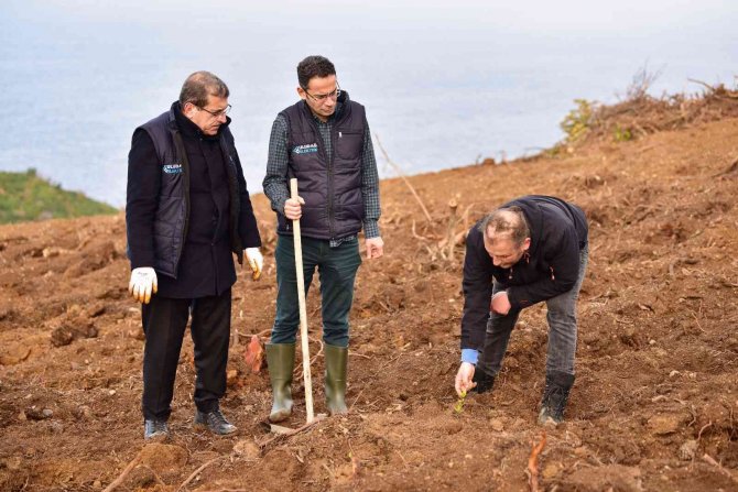 4 Yılda 4 Bin Fidan Doğayla Buluştu