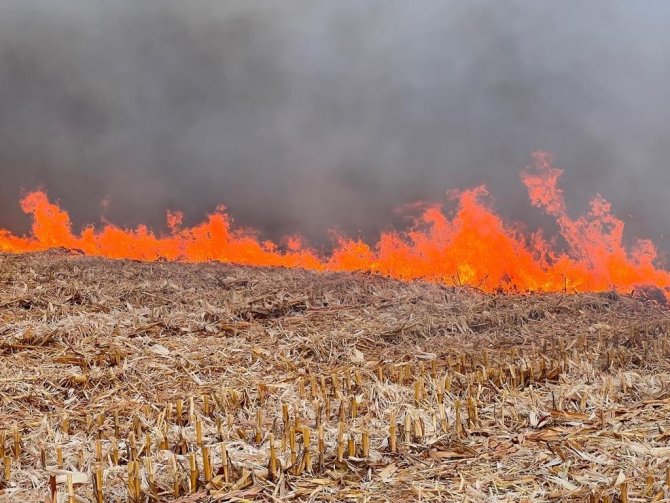 Uzmandan Buğday Ekimi Mesaisindeki Çiftçilere Verimli Ve Kaliteli Ürün Uyarısı