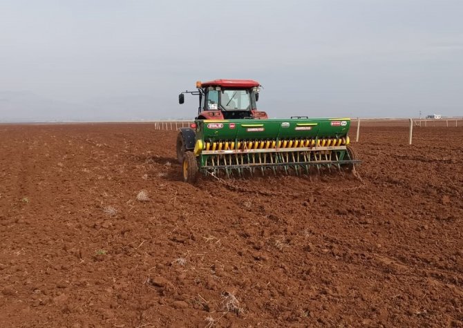 Uzmandan Buğday Ekimi Mesaisindeki Çiftçilere Verimli Ve Kaliteli Ürün Uyarısı