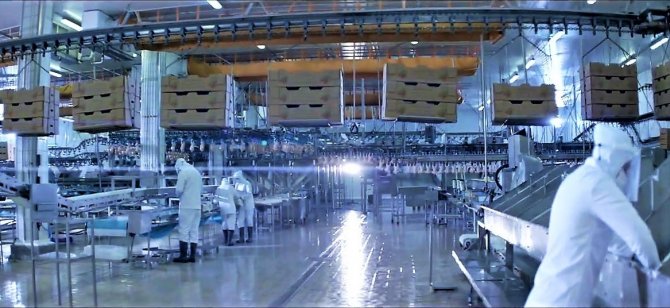 Gedik Piliç 70 Ülkeye 120 Milyon Doların Üzerine İhracat Yaptı