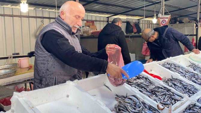 Havalar Soğudu, Hamsinin Fiyatı Arttı