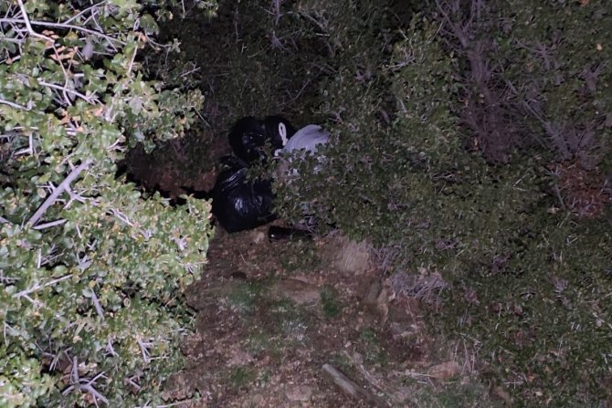 İ̇zmir’de Uyuşturucu Tacirine Jandarmadan Operasyon
