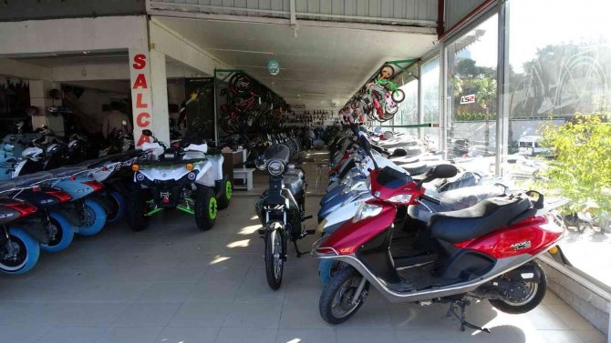 İ̇ş Yeri Sahipleri Çalan Alarmı Kedi Zannetti, Tilki Mağazayı Savaş Alanına Çevirdi