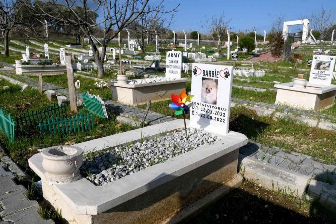 Kuşadası Hayvan Mezarlığına 3 Yılda 335 Hayvan Gömüldü