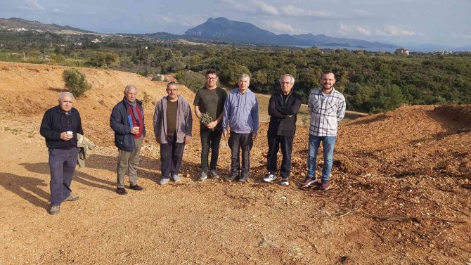 Datçalı Girişimci Devletten Kiraladığı Araziye 15 Bin Adet Lavanta Dikti