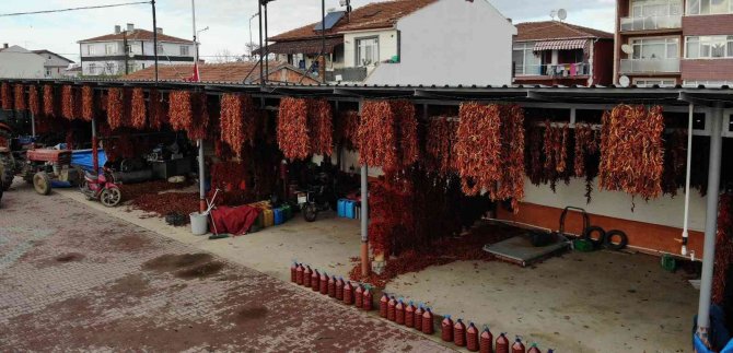 Karaağaç Biberi Kurutma Mesaisinde Sona Gelindi