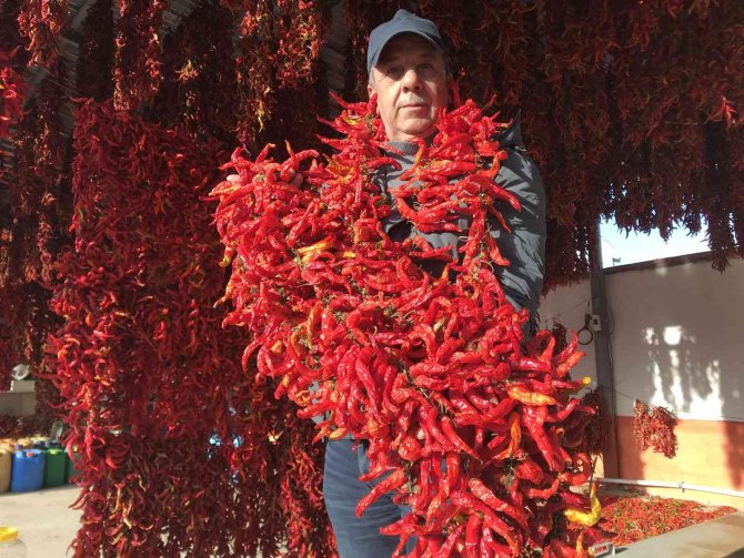 Karaağaç Biberi Kurutma Mesaisinde Sona Gelindi