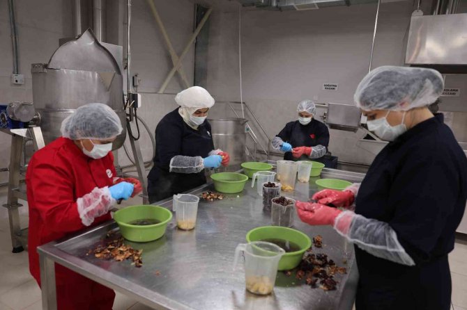 Efeler Belediyesi Kestane Şekeri Üretimine Başladı