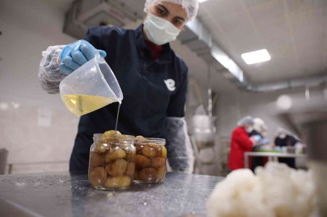 Efeler Belediyesi Kestane Şekeri Üretimine Başladı