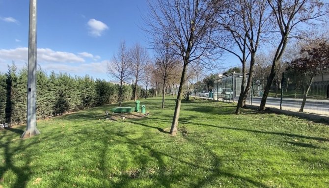 İ̇stanbul’da Film Gibi Cinayet: Otelden Kaçırdıkları Adam Borç Tahsil Edilirken Öldü