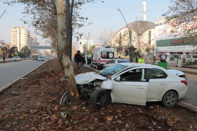 Yayalara Çarpmamak İsterken Ağaca Çarptı: 1 Yaralı