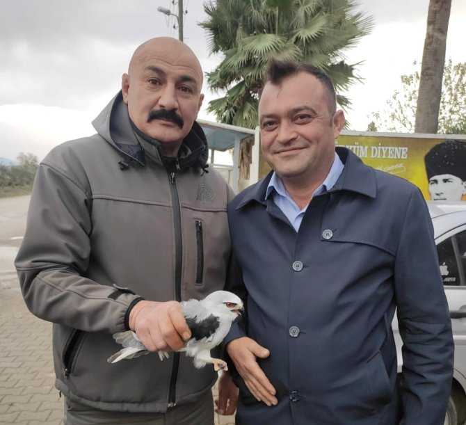 Osmaniye’de Yaralı Bulunan Kızıl Şahin Ve Ak Çaylak Tedaviye Alındı