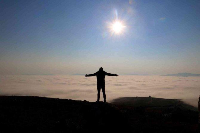 Nadir Görülüyor, Görenleri İse Mest Ediyor
