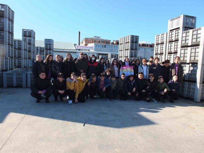 Öğrenciler Zeytinin Yağa Dönüşümünü İzledi