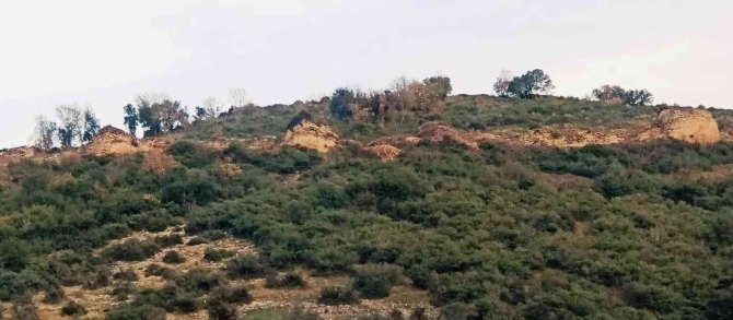 Altınova’da Geleceğin Arkeologları İş Başında