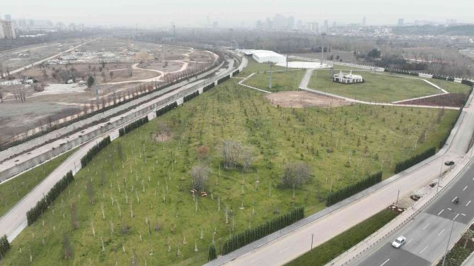 Doğal Yaşam Ve Atatürk Çocukları Parkı’nın Yapımı Sürüyor