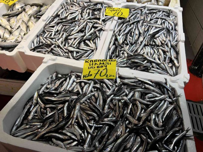 Balık Tezgahının En Ucuzu Hamsi Ve İstavrit