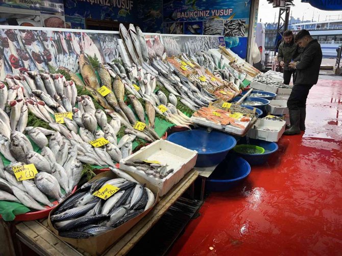 Balık Tezgahının En Ucuzu Hamsi Ve İstavrit