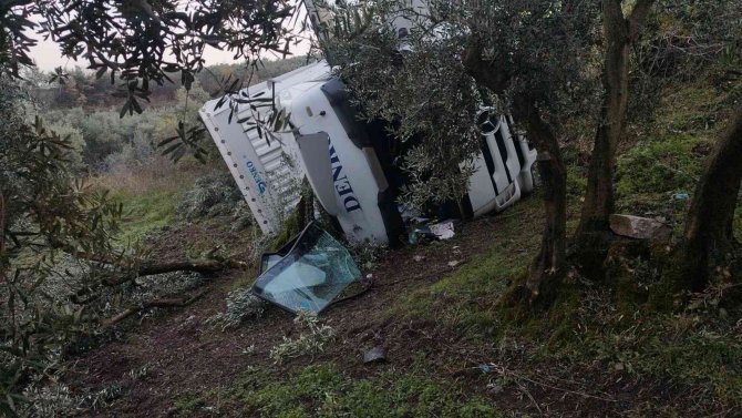 Tır Zeytinliğe Devrildi, Sürücü Yaralandı