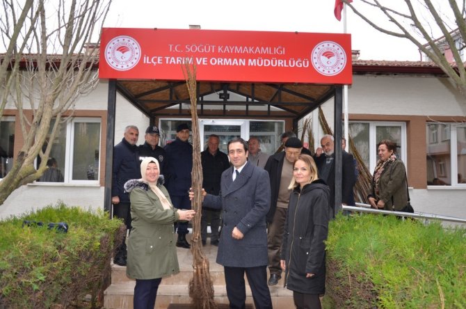 Söğüt’te 117 Çiftçiye 4 Bin 900 Adet Ceviz Ve Badem Fidanı Dağıtıldı
