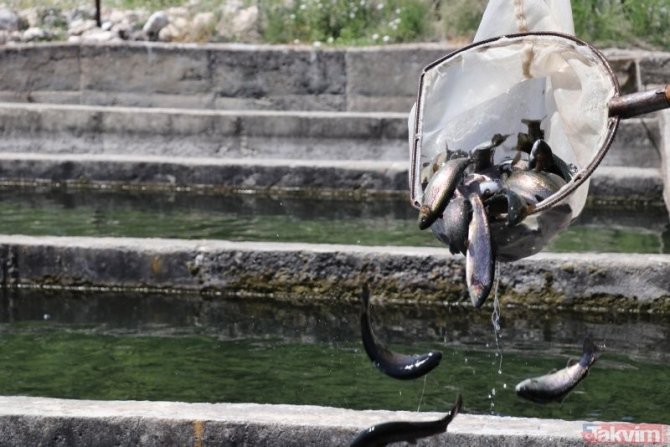 Çameli’den Bu Yıl 800 Milyonluk Tarımsal Üretim Yapıldı