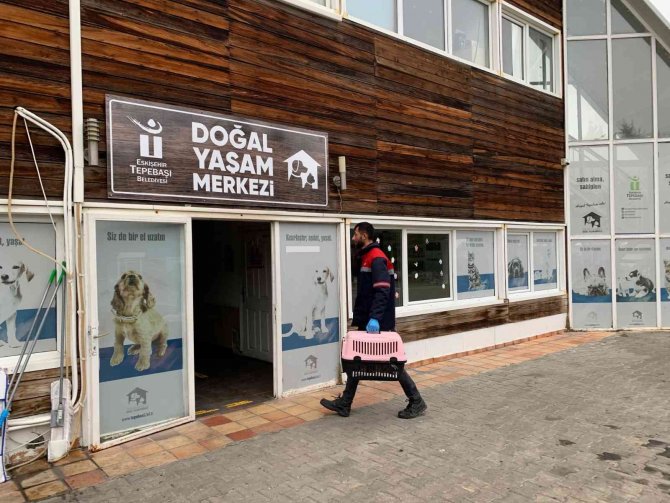 Ağzı Bağlı Çuvalda Bulunan 8 Yavru Köpek Ve Sütannesi Gözetim Altına Alındı