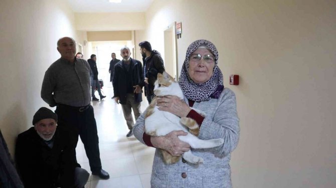 Evcil Kedi Ve Köpeklere Dijital Kimlikte Son Gün 31 Aralık