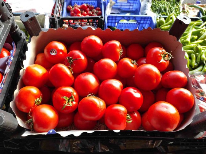 İ̇stanbul’daki Meyve Ve Sebze Tezgahlarında Bolluk Yaşanıyor