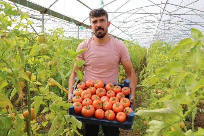 Şehir Hayatını Bırakıp Köyünde Sera Kurdu