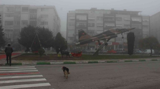 Kırklareli’nde Yoğun Sis Etkili Oluyor