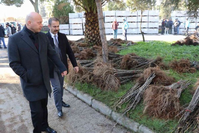 Üreticilerin Meyve Fidanları Manisa Büyükşehir Belediyesinden