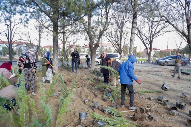 Millet Bahçesi’nde Peyzaj Çalışmaları Başladı