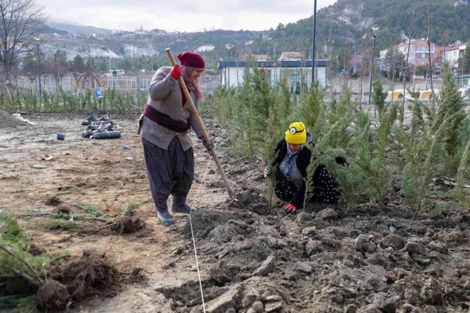 Millet Bahçesi’nde Peyzaj Çalışmaları Başladı