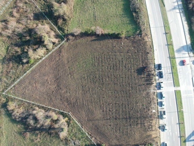 Sinop’ta Yol Kenarına Meyve Fidanları Dikildi