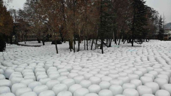 Binlercesi Havadan Görüntülendi, Görenleri Şaşırtan Manzara