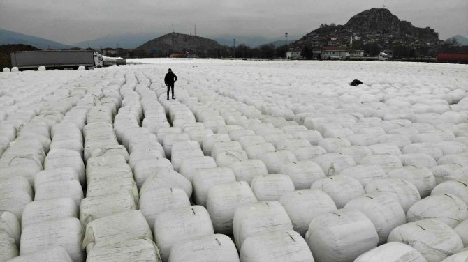 Binlercesi Havadan Görüntülendi, Görenleri Şaşırtan Manzara