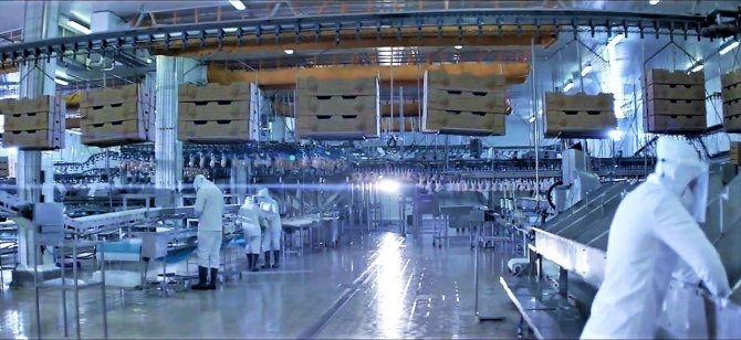 70 Ülkeye 120 Milyon Dolar İhracat Yapan Gedik Piliç, 2023’te De Büyümeye Devam Ediyor