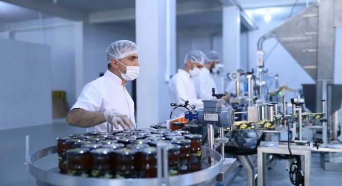 Coğrafi İşaret Alan Bingöl Balı, İhracat Yolunda