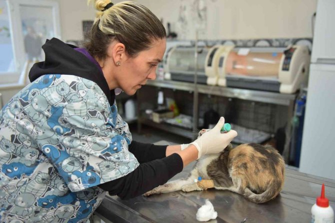 Yıldırım’ın Sessiz Sakinlerine 7-24 Hizmet