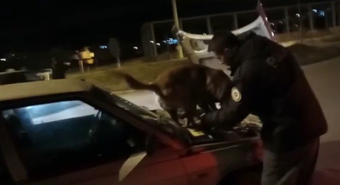 Tavşanlı’da 902 Kişinin Kimlik Kontrolü Yapıldı