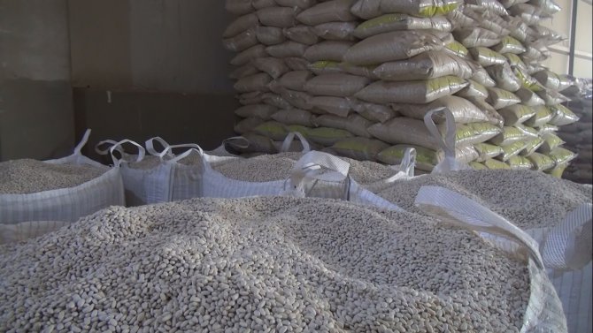 Ahlat’tan Kuru Fasulye İhracatı