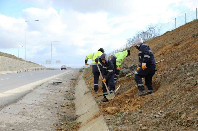 Tem Gebze Güzergahında Ağaçlandırma Seferberliği