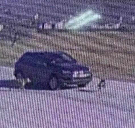 Tuzla’da Vicdansız Sürücü Köpeği Ezip Kaçtı
